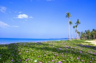 Dual Golf Resorts Of Pattaya & Hua Hin
